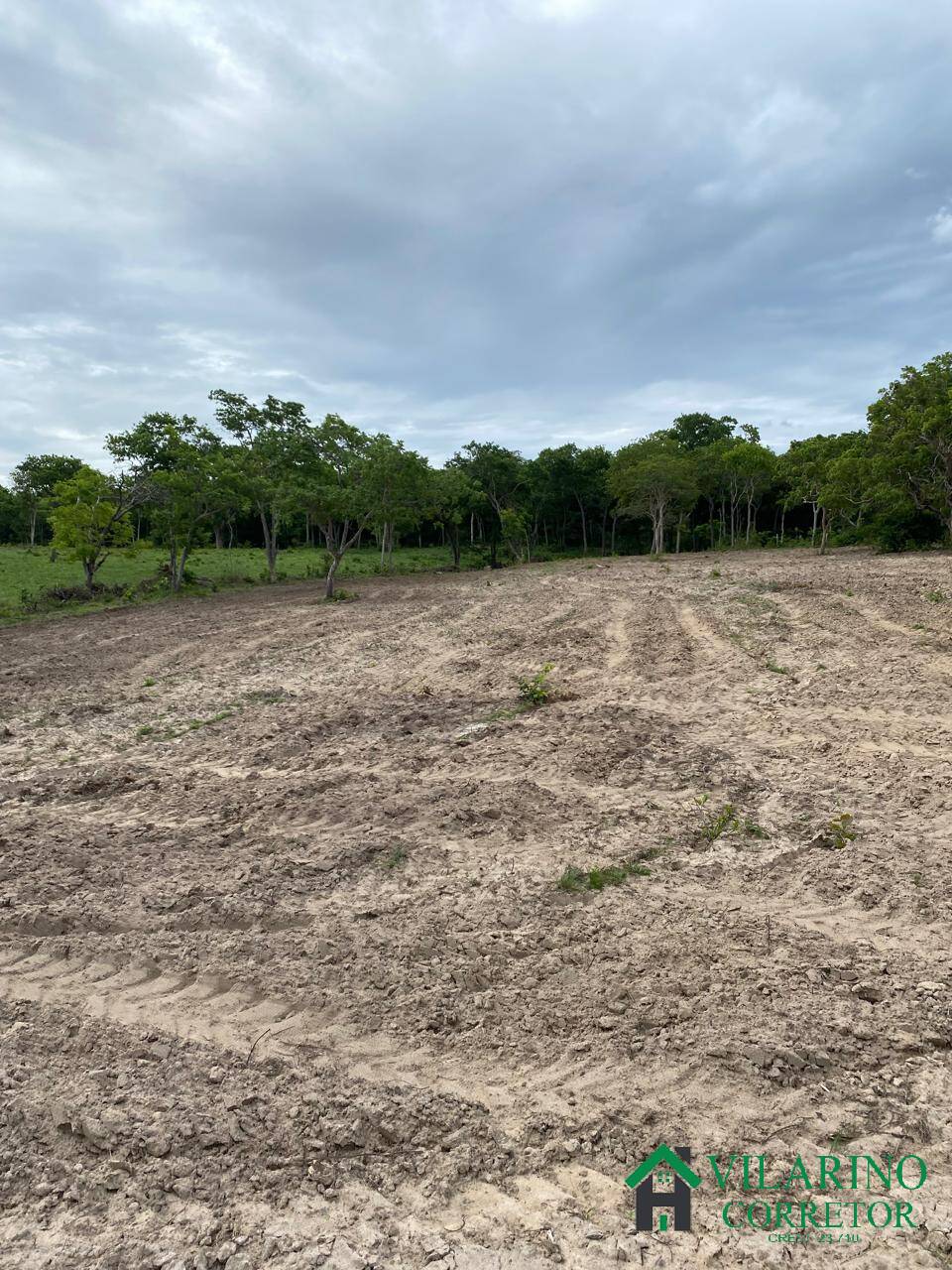 Fazenda à venda com 3 quartos, 600m² - Foto 8