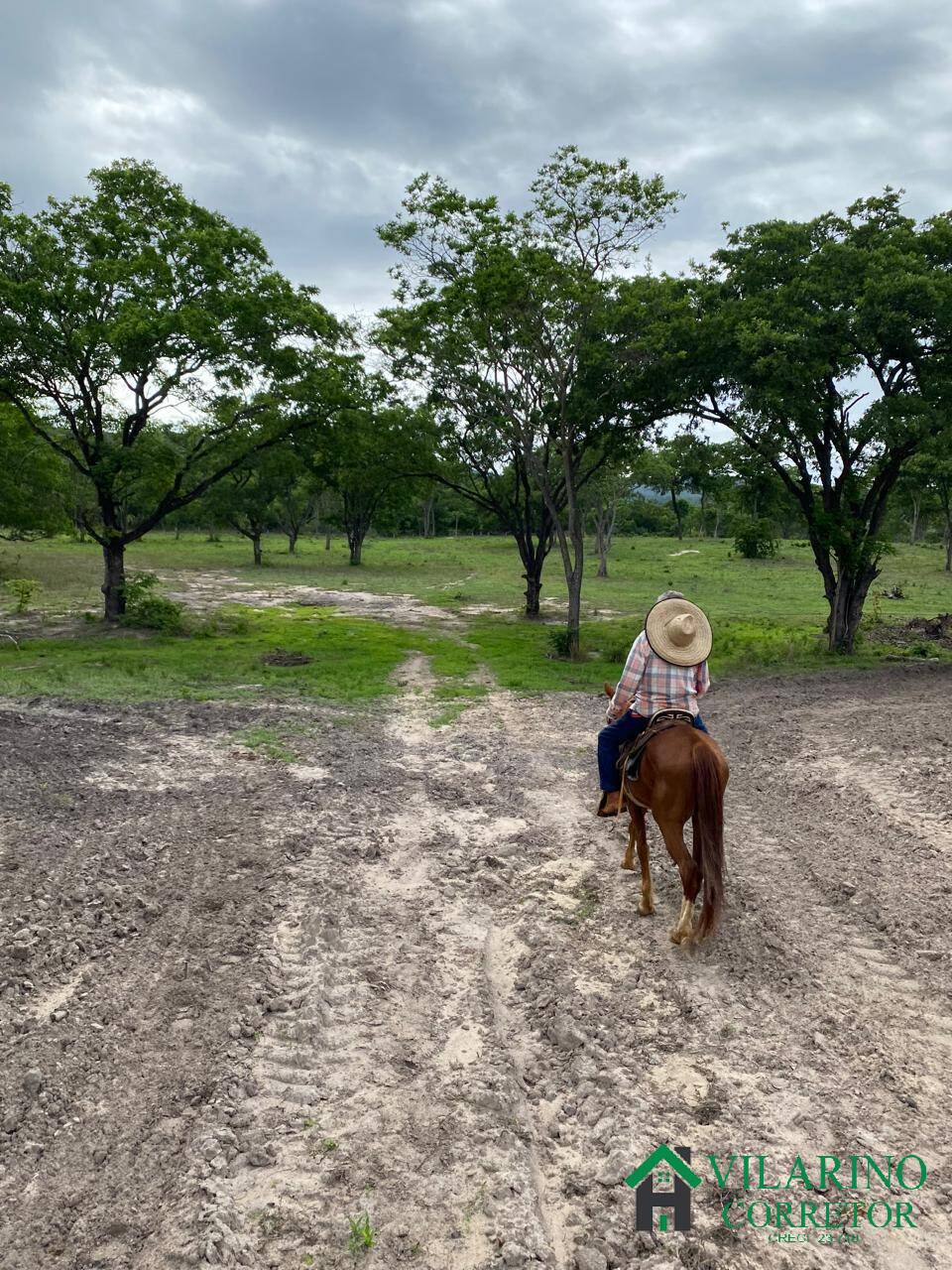 Fazenda à venda com 3 quartos, 600m² - Foto 9