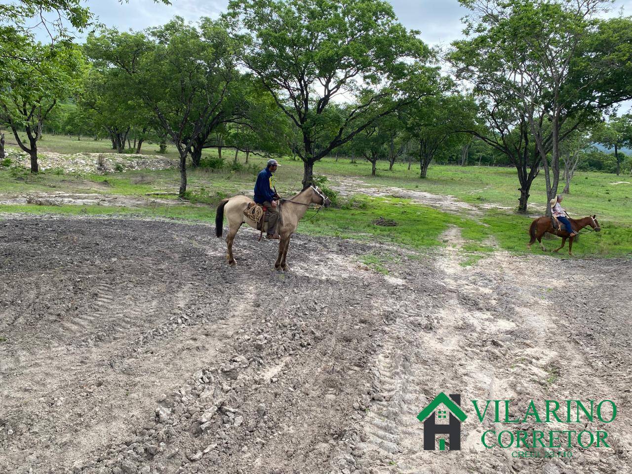 Fazenda à venda com 3 quartos, 600m² - Foto 11