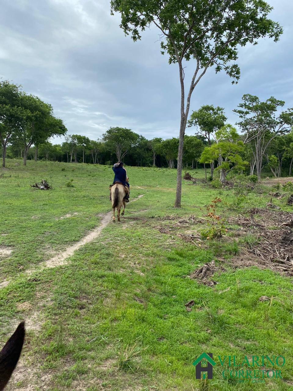 Fazenda à venda com 3 quartos, 600m² - Foto 12