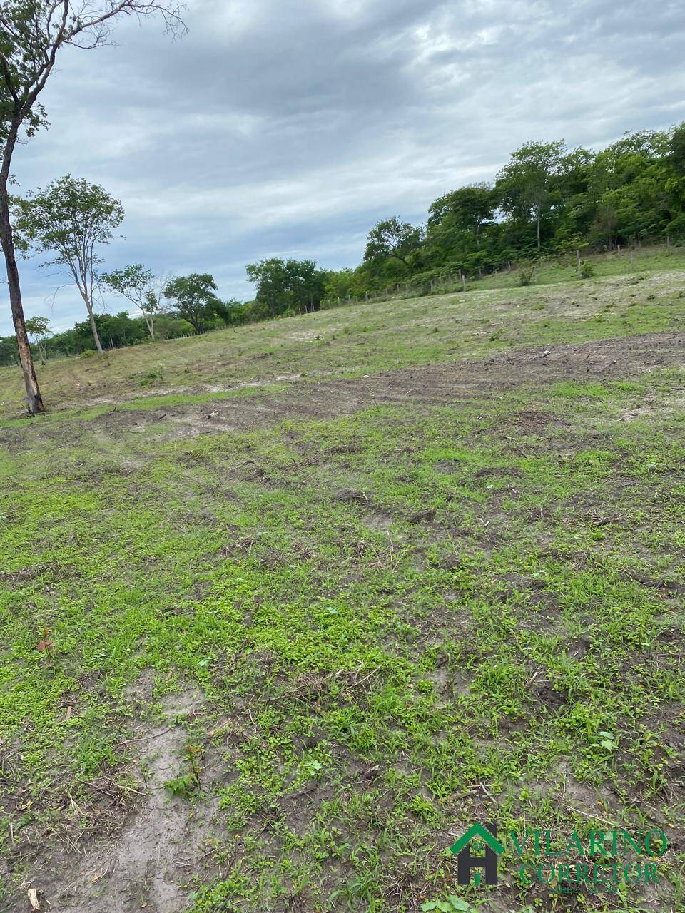 Fazenda à venda com 3 quartos, 600m² - Foto 14