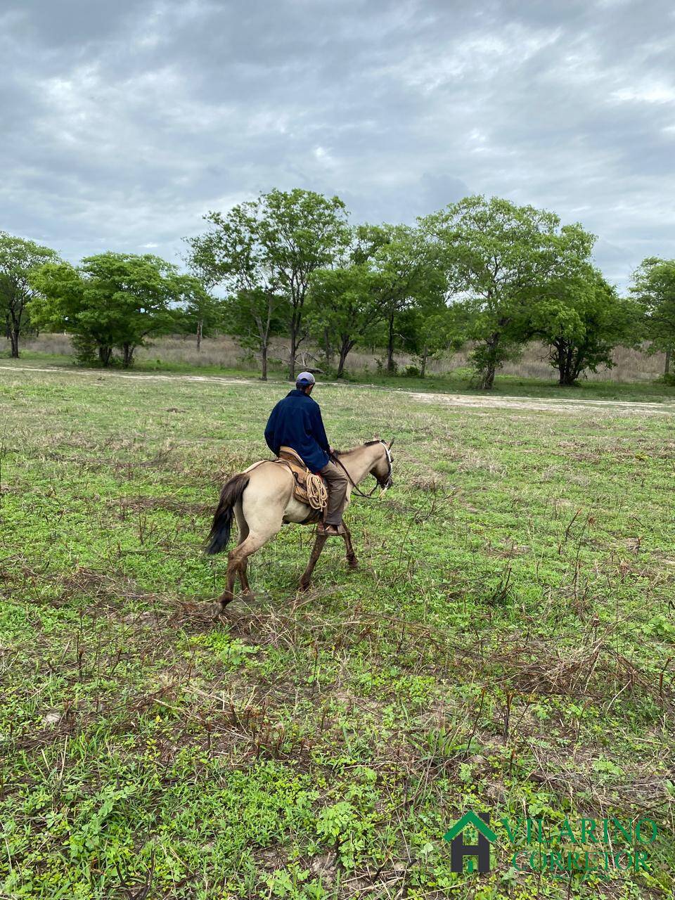 Fazenda à venda com 3 quartos, 600m² - Foto 17