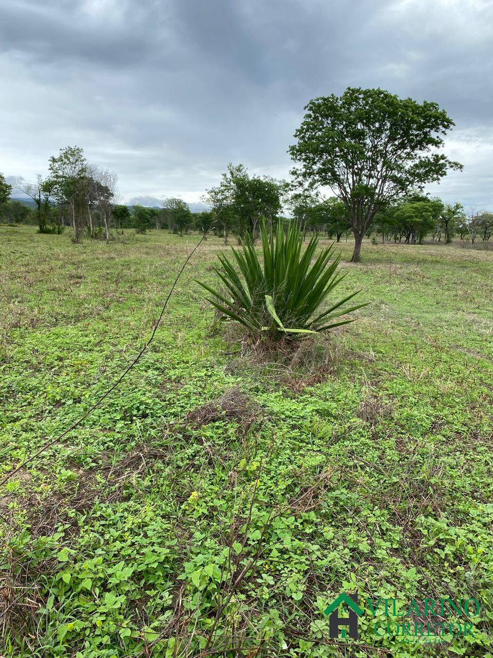 Fazenda à venda com 3 quartos, 600m² - Foto 16