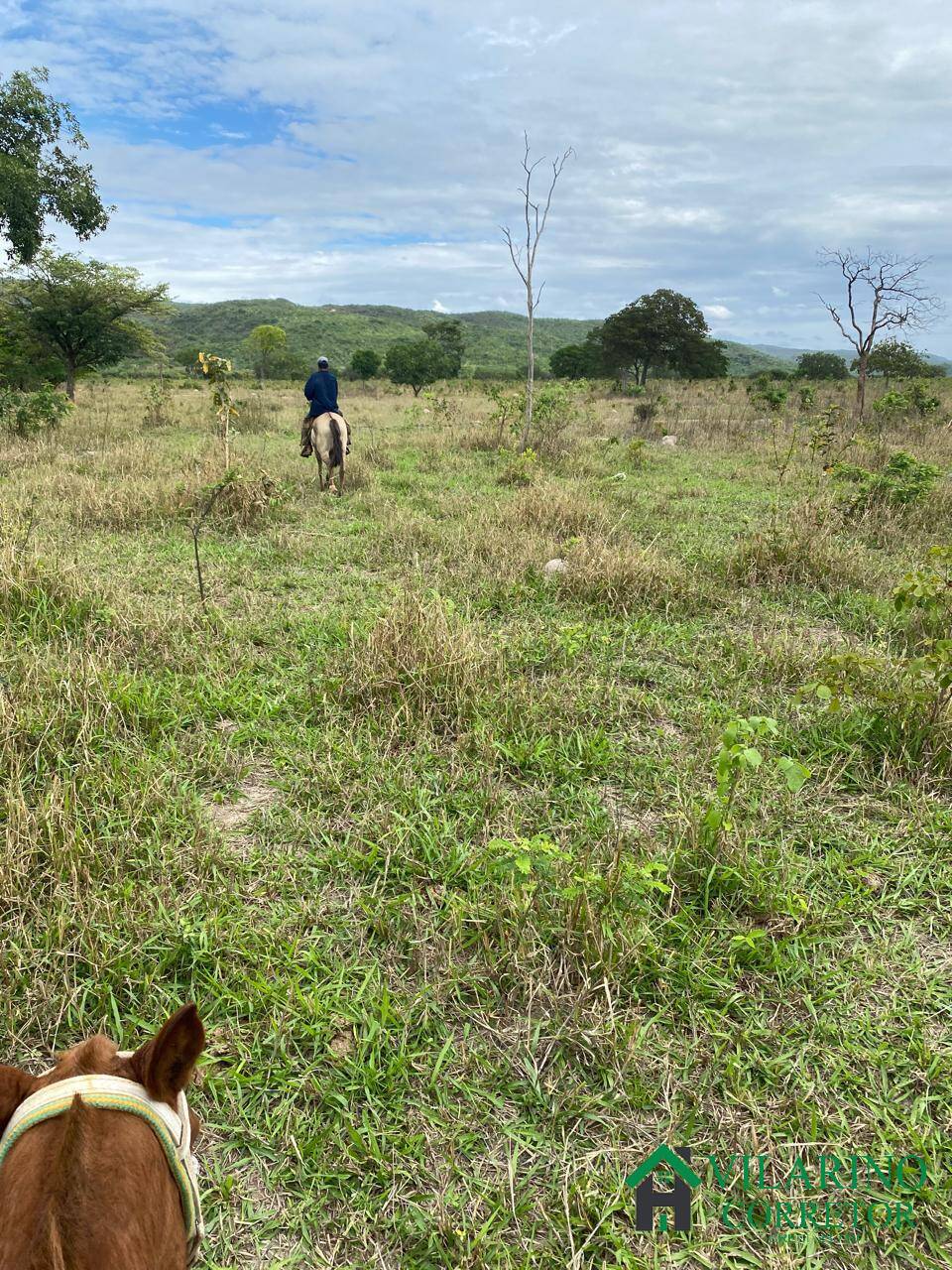 Fazenda à venda com 3 quartos, 600m² - Foto 19