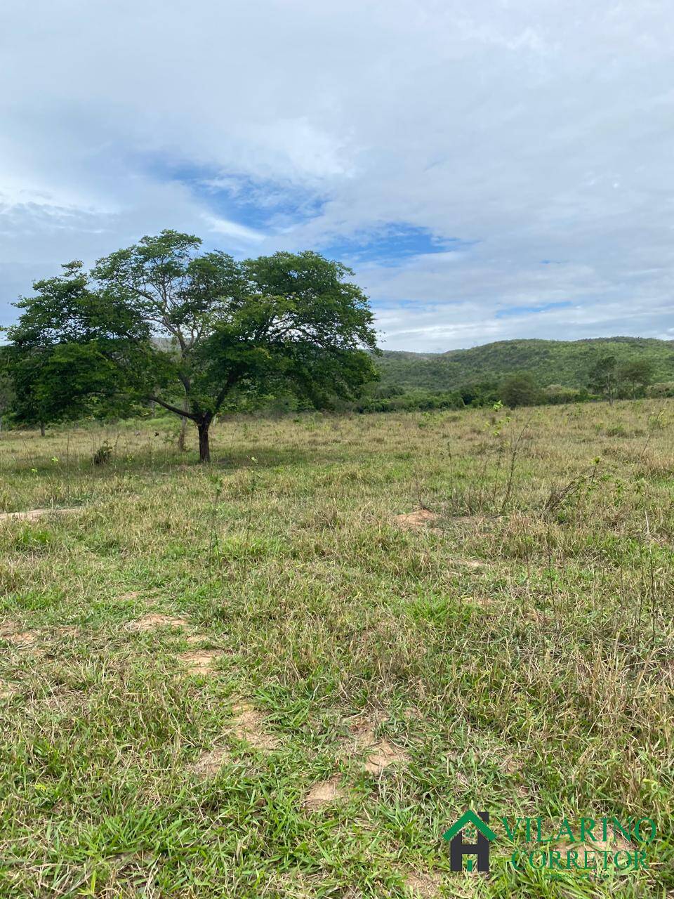 Fazenda à venda com 3 quartos, 600m² - Foto 20