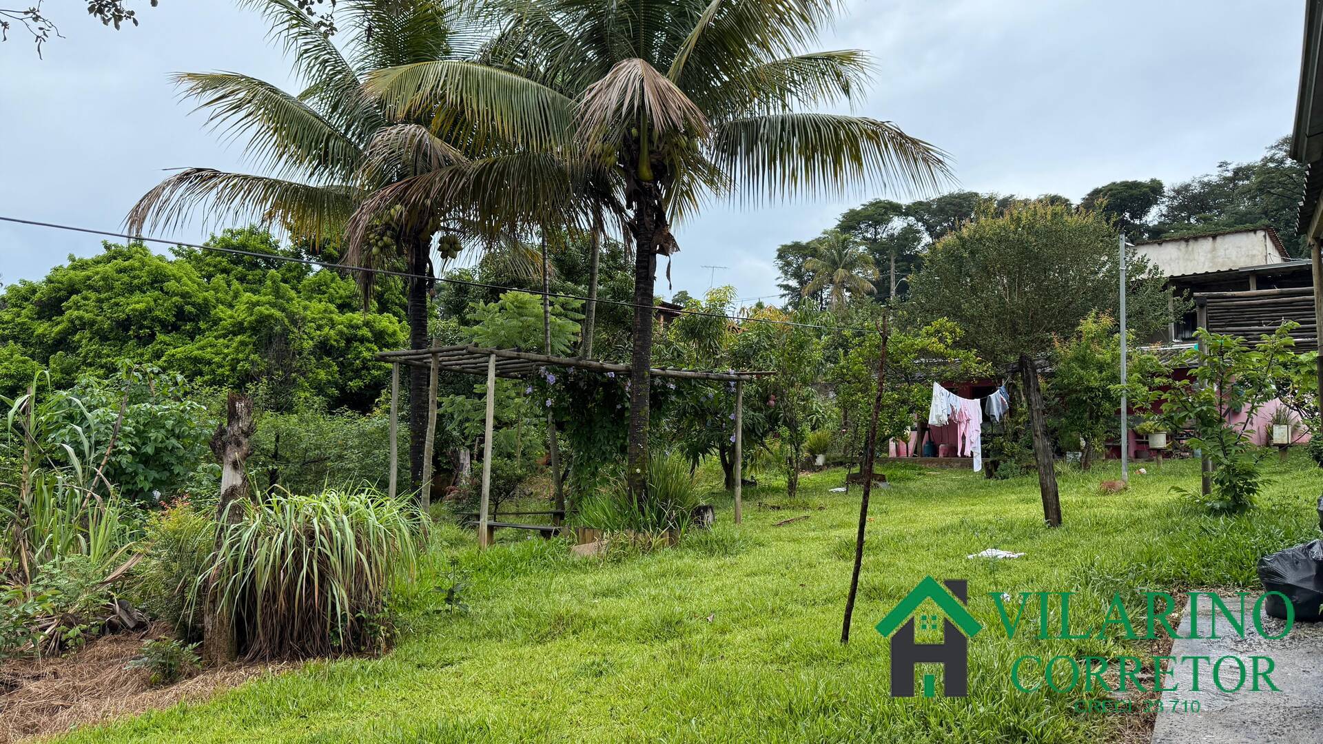 Fazenda à venda com 3 quartos, 220m² - Foto 1