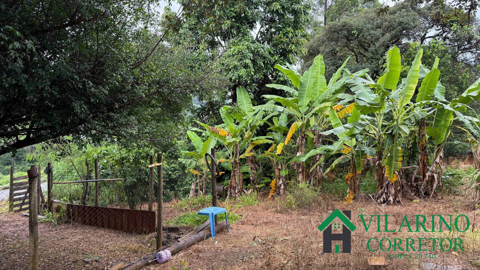 Fazenda à venda com 3 quartos, 220m² - Foto 2