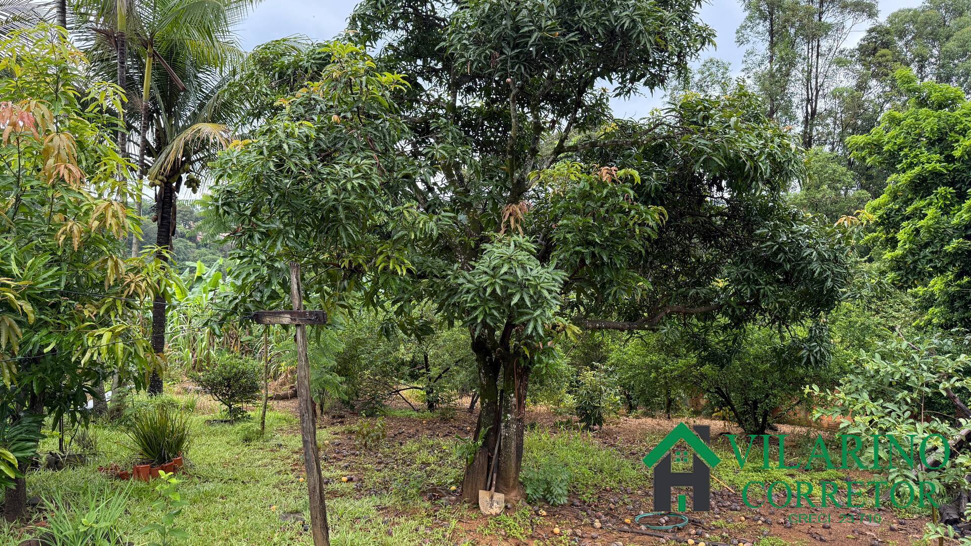 Fazenda à venda com 3 quartos, 220m² - Foto 5