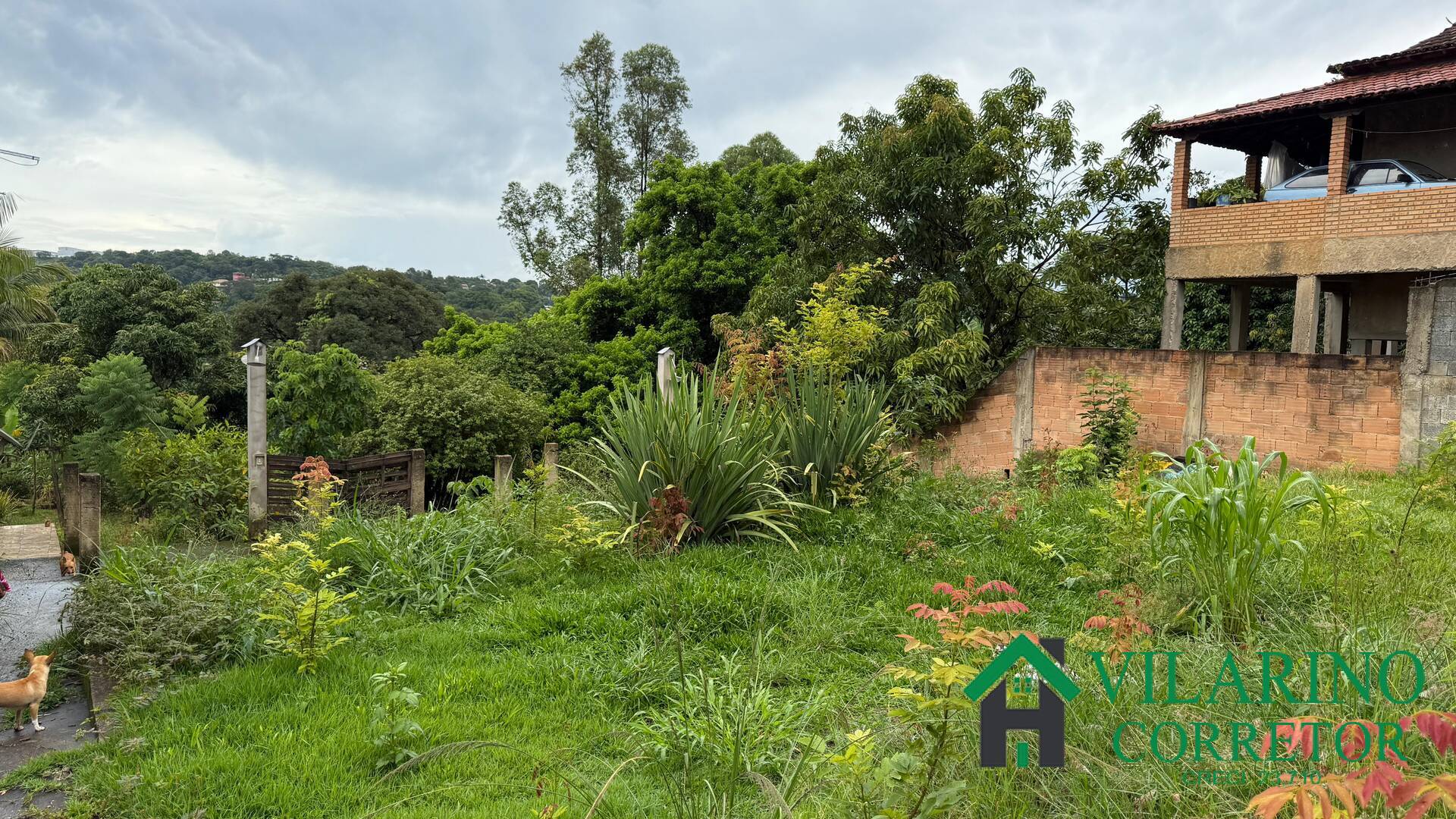 Fazenda à venda com 3 quartos, 220m² - Foto 6