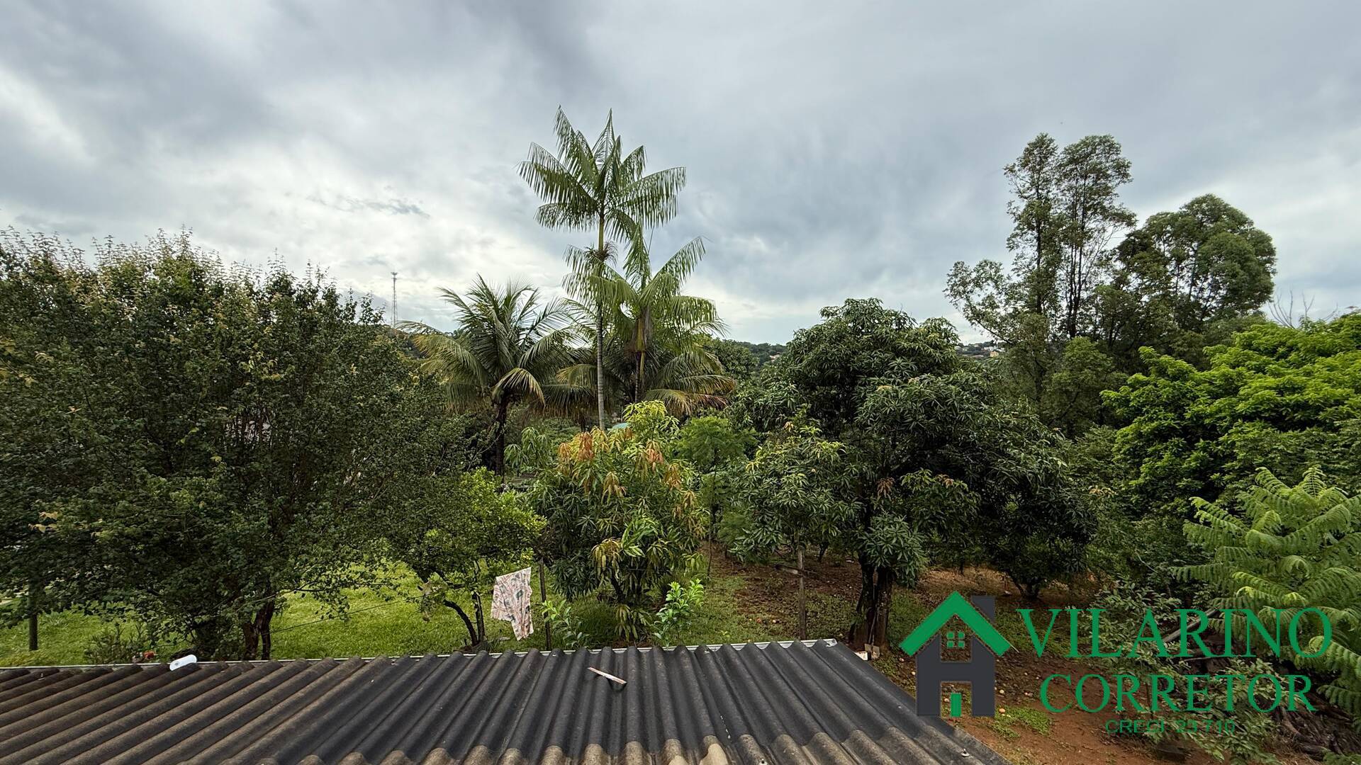 Fazenda à venda com 3 quartos, 220m² - Foto 11