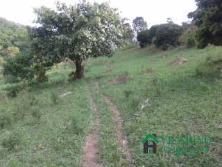 Fazenda à venda com 5 quartos, 450m² - Foto 19