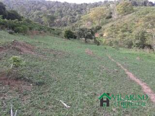 Fazenda à venda com 5 quartos, 450m² - Foto 35