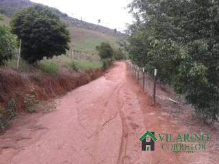 Fazenda à venda com 5 quartos, 450m² - Foto 36