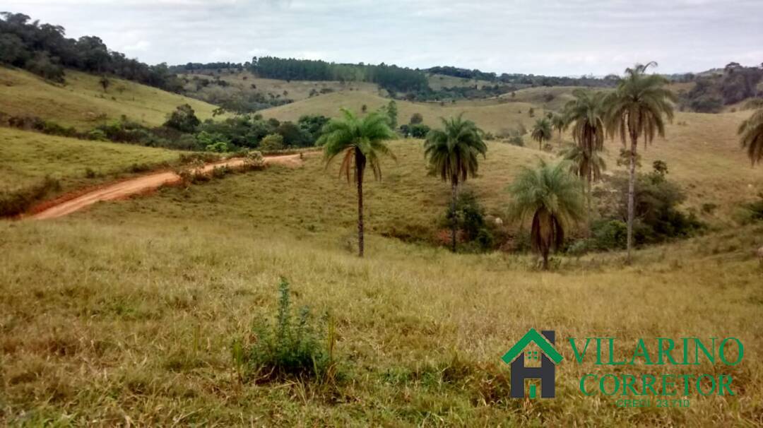 Fazenda à venda com 1 quarto, 50m² - Foto 6